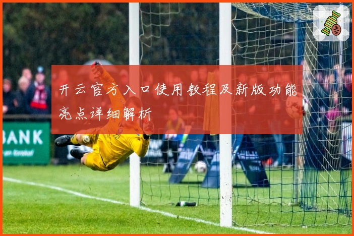 开云官方入口使用教程及新版功能亮点详细解析