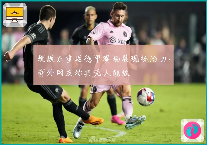 樊振东重返德甲赛场展现统治力，海外网友称其无人能敌