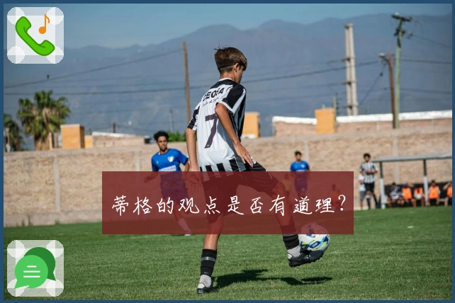 蒂格的观点是否有道理？