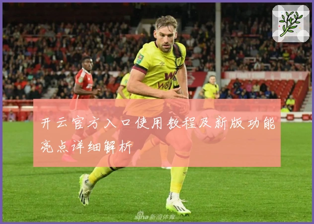 开云官方入口使用教程及新版功能亮点详细解析