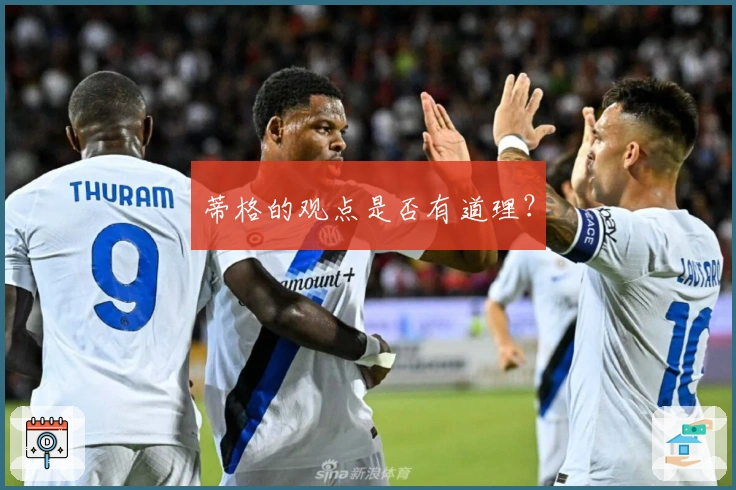 蒂格的观点是否有道理？